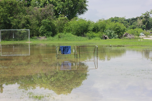 厄瓜多尔的 厄瓜多尔的