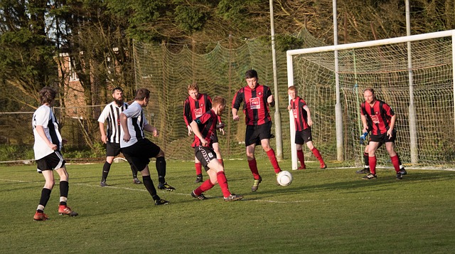 但个性化的 但个性化的