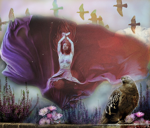 我们不仅是 我们不仅是