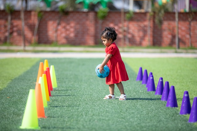 环保与艺术 环保与艺术