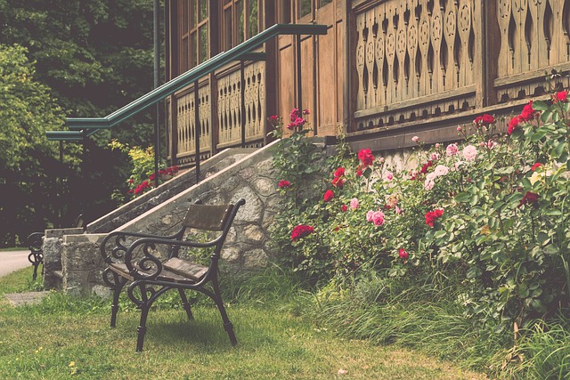 一现象进行 一现象进行