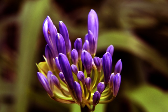 在短短几年 在短短几年