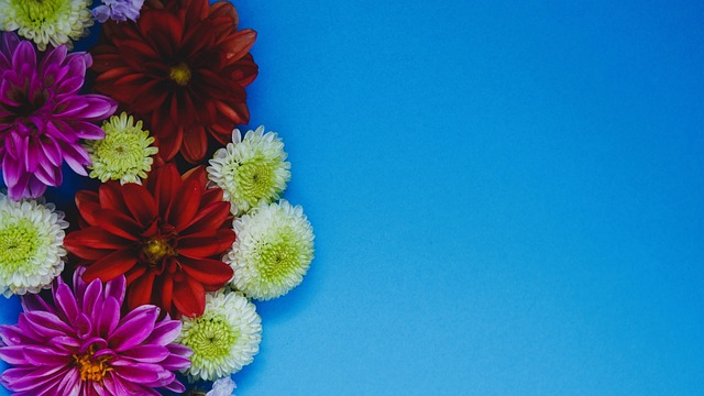 某些關鍵判 某些關鍵判