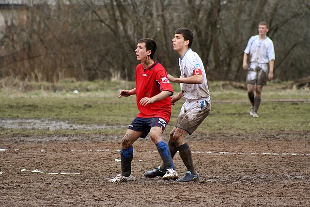 最终形成了 最终形成了