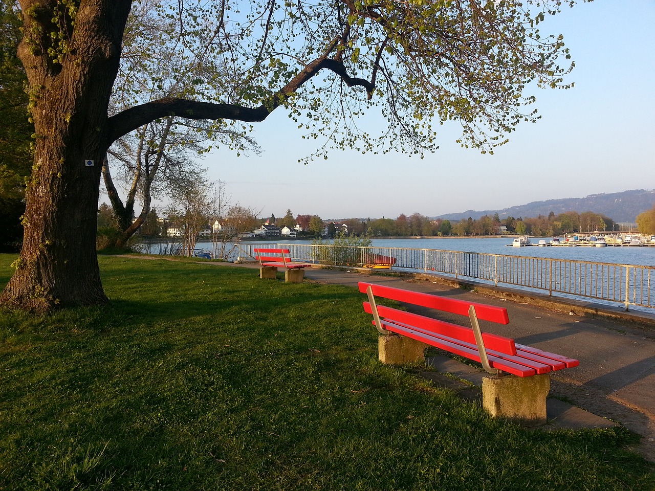 力的结果 力的结果