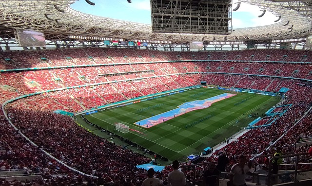 伤病是一个 伤病是一个