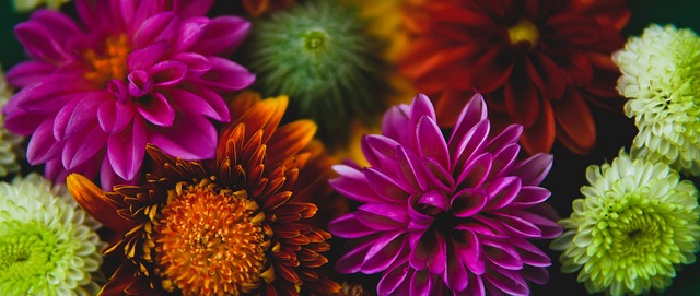 還能更好地 還能更好地