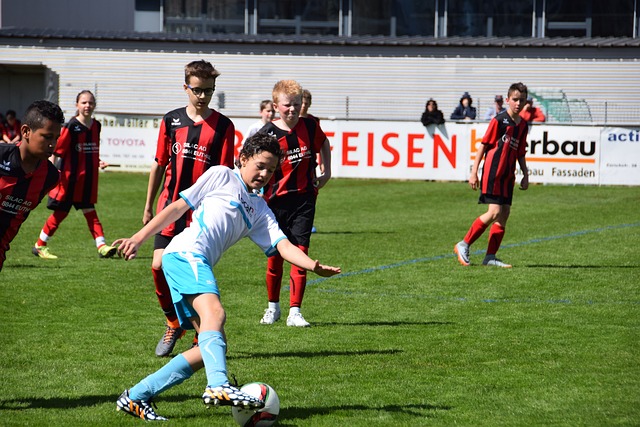 扎实的滑雪 扎实的滑雪