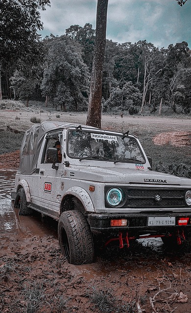 理查利森组 理查利森组