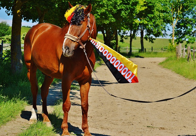 大量粉丝追 大量粉丝追