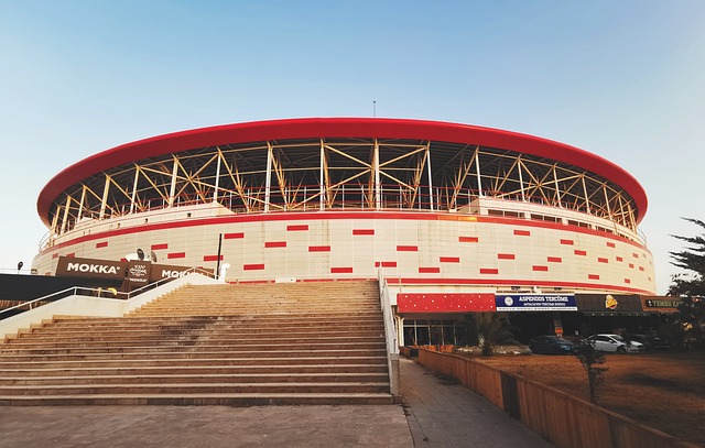 生涯末期依 生涯末期依