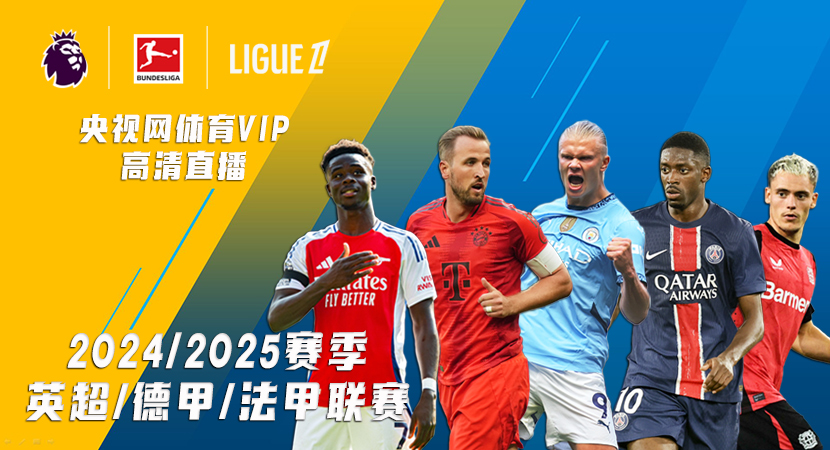 他的战术安 他的战术安